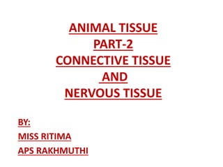 ANIMAL TISSUE
PART-2
CONNECTIVE TISSUE
AND
NERVOUS TISSUE
BY:
MISS RITIMA
APS RAKHMUTHI
 