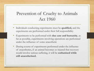 Prevention of Cruelty to Animals
Act 1960
• Individuals conducting experiments must be qualified, and the
experiments are performed under their full responsibility
• Experiments to be performed with due care and humanity, as
far as possible, experiments involving operations are performed
under the influence of some anaesthetic
• During course of experiments performed under the influence
of anaesthetics, if an animal becomes so injured that recovery
would involve serious suffering, it will be euthanised while
still anaesthetised.
 