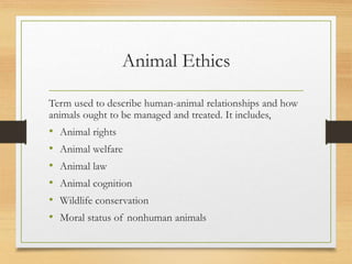 Institutional Animals Ethics Committee
