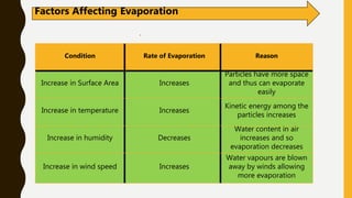 Factors Affecting Evaporation
Condition Rate of Evaporation Reason
Increase in Surface Area Increases
Particles have more space
and thus can evaporate
easily
Increase in temperature Increases
Kinetic energy among the
particles increases
Increase in humidity Decreases
Water content in air
increases and so
evaporation decreases
Increase in wind speed Increases
Water vapours are blown
away by winds allowing
more evaporation
 