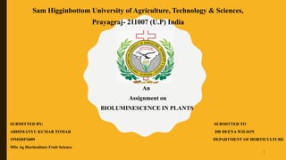 Sam Higginbottom University of Agriculture, Technology & Sciences,
Prayagraj- 211007 (U.P) India
An
Assignment on
BIOLUMINESCENCE IN PLANTS
SUBMITTED BY: SUBMITTED TO
ABHIMANYU KUMAR TOMAR DR DEENA WILSON
19MSHFS009 DEPARTMENT OF HORTICULTURE
MSc Ag Horticulture Fruit Science
1
 