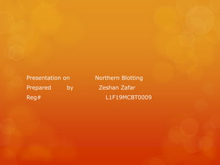 Presentation on Northern Blotting
Prepared by Zeshan Zafar
Reg# L1F19MCBT0009
 