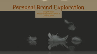 Personal Brand Exploration
Craig M. Dolan
Project and portfolio I: Week 3
June 19, 2020
 