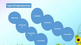 algaecides.
antimicrobi
al.
Biopesticid
es.
Fungicides
herbicidies
Insecticides
Synergists
Insecticides
Types Of Agrochemicals
 