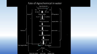 Fate of Agrochemical in water
 