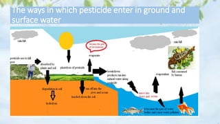 The ways in which pesticide enter in ground and
surface water
 