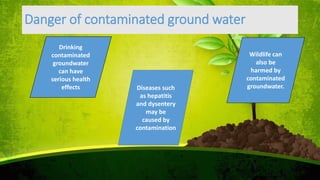Danger of contaminated ground water
Drinking
contaminated
groundwater
can have
serious health
effects Diseases such
as hepatitis
and dysentery
may be
caused by
contamination
Wildlife can
also be
harmed by
contaminated
groundwater.
 
