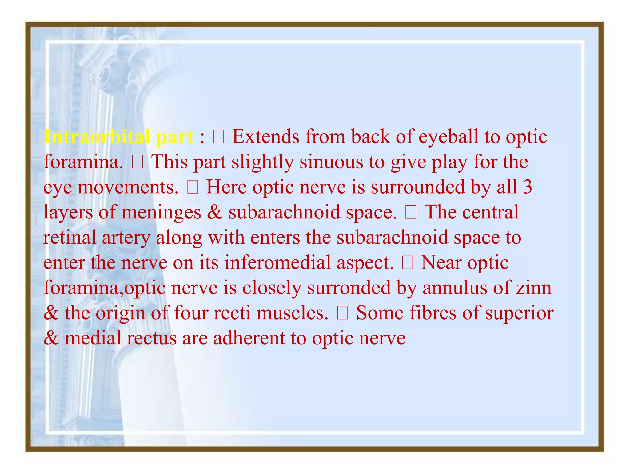Intraorbital part : Extends from back of eyeball to optic
foramina. This part slightly sinuous to give play for the
eye movements. Here optic nerve is surrounded by all 3
layers of meninges & subarachnoid space. The central
retinal artery along with enters the subarachnoid space to
enter the nerve on its inferomedial aspect. Near optic
foramina,optic nerve is closely surronded by annulus of zinn
& the origin of four recti muscles. Some fibres of superior
& medial rectus are adherent to optic nerve
 