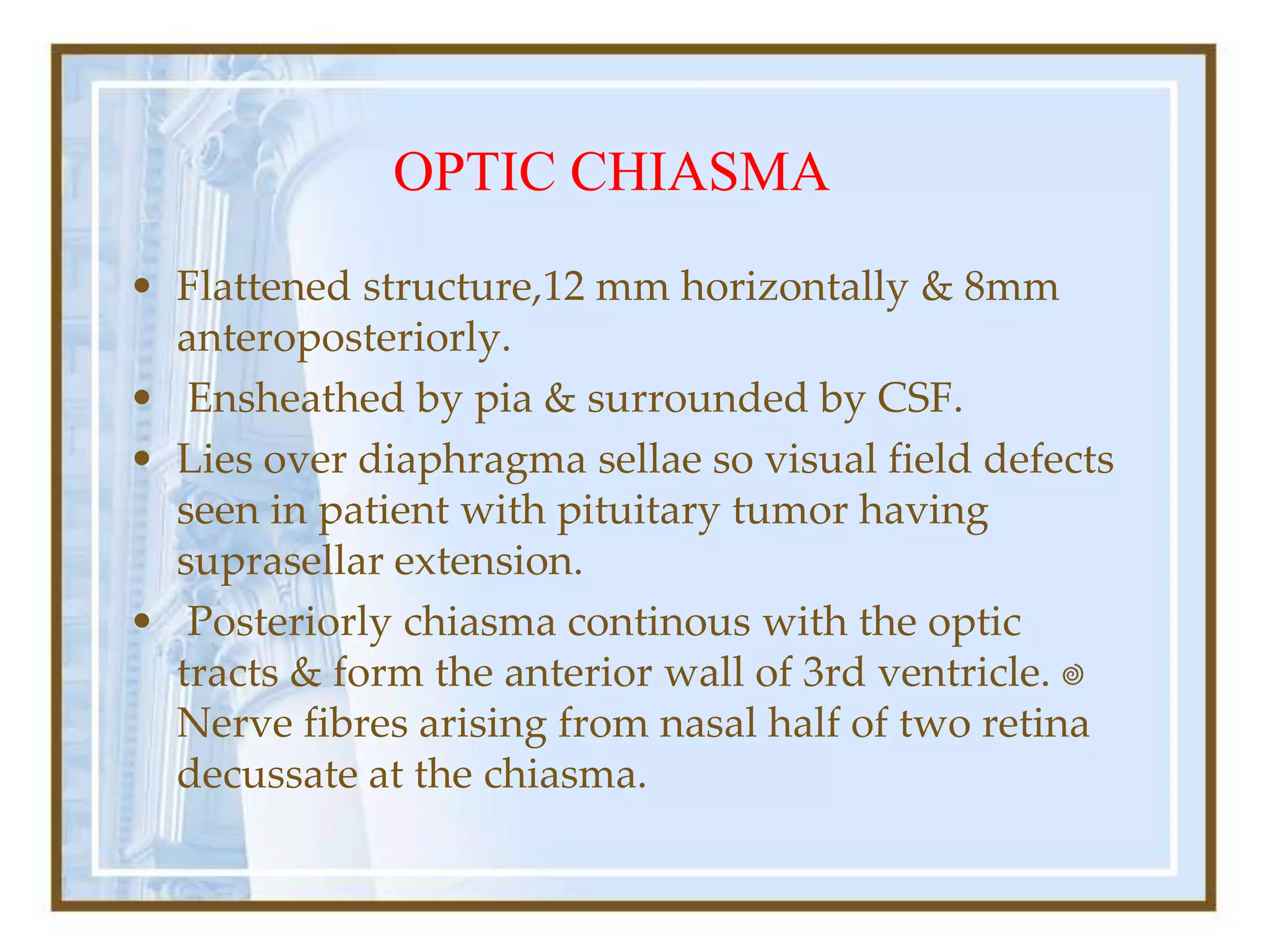 OPTIC CHIASMA
• Flattened structure,12 mm horizontally & 8mm
anteroposteriorly.
• Ensheathed by pia & surrounded by CSF.
• Lies over diaphragma sellae so visual field defects
seen in patient with pituitary tumor having
suprasellar extension.
• Posteriorly chiasma continous with the optic
tracts & form the anterior wall of 3rd ventricle.
Nerve fibres arising from nasal half of two retina
decussate at the chiasma.
 
