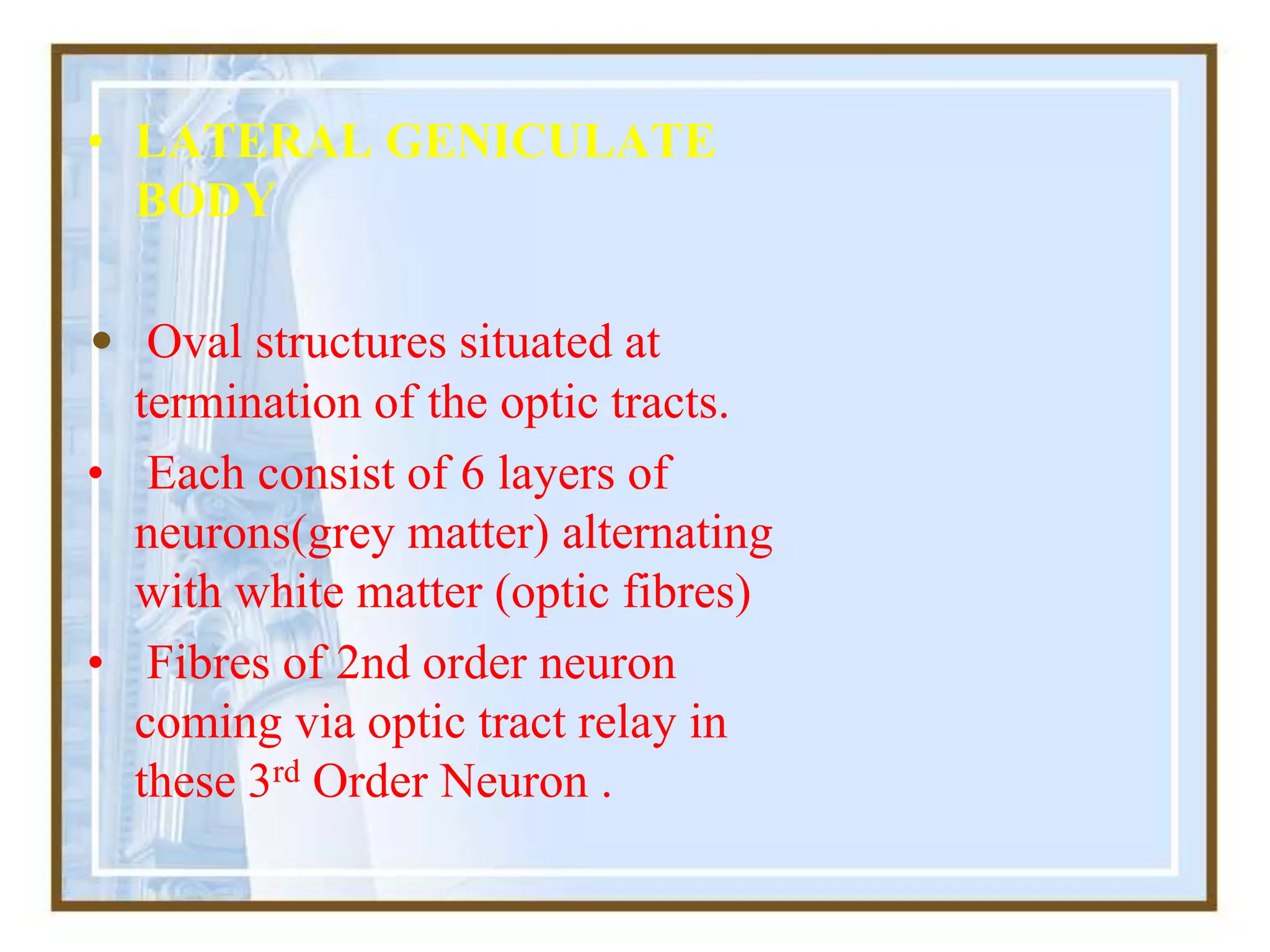 • LATERAL GENICULATE
BODY
• Oval structures situated at
termination of the optic tracts.
• Each consist of 6 layers of
neurons(grey matter) alternating
with white matter (optic fibres)
• Fibres of 2nd order neuron
coming via optic tract relay in
these 3rd Order Neuron .
 