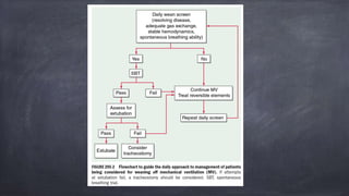 Mechanical Ventilation modes used clinically | PPTX