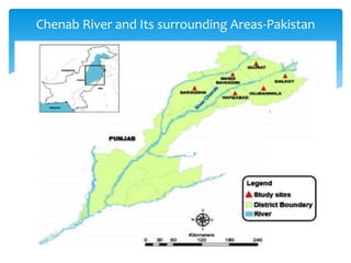Chenab River and Its surrounding Areas-Pakistan
 