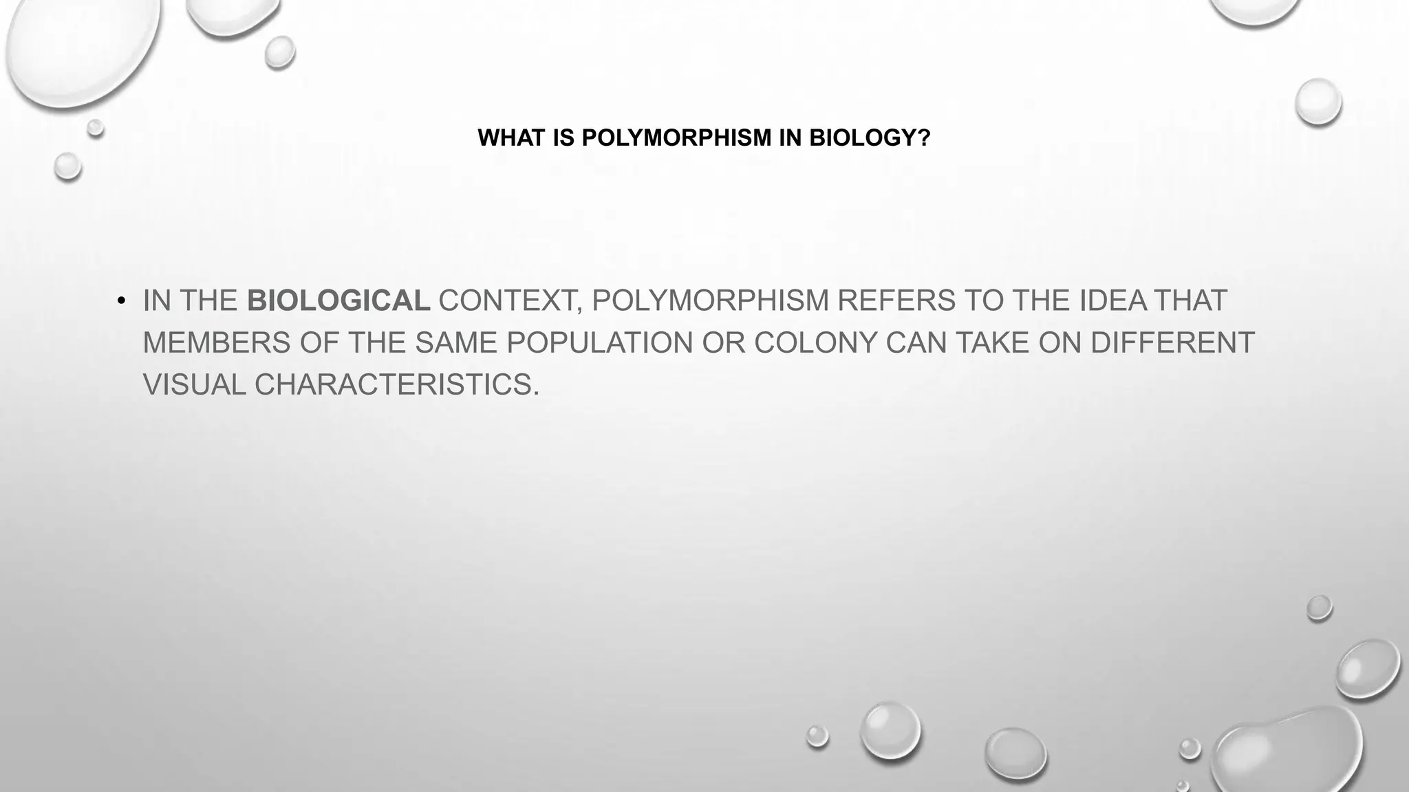 WHAT IS POLYMORPHISM IN BIOLOGY?
• IN THE BIOLOGICAL CONTEXT, POLYMORPHISM REFERS TO THE IDEA THAT
MEMBERS OF THE SAME POPULATION OR COLONY CAN TAKE ON DIFFERENT
VISUAL CHARACTERISTICS.
 