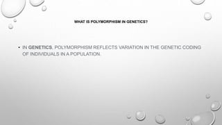 WHAT IS POLYMORPHISM IN GENETICS?
• IN GENETICS, POLYMORPHISM REFLECTS VARIATION IN THE GENETIC CODING
OF INDIVIDUALS IN A POPULATION.
 