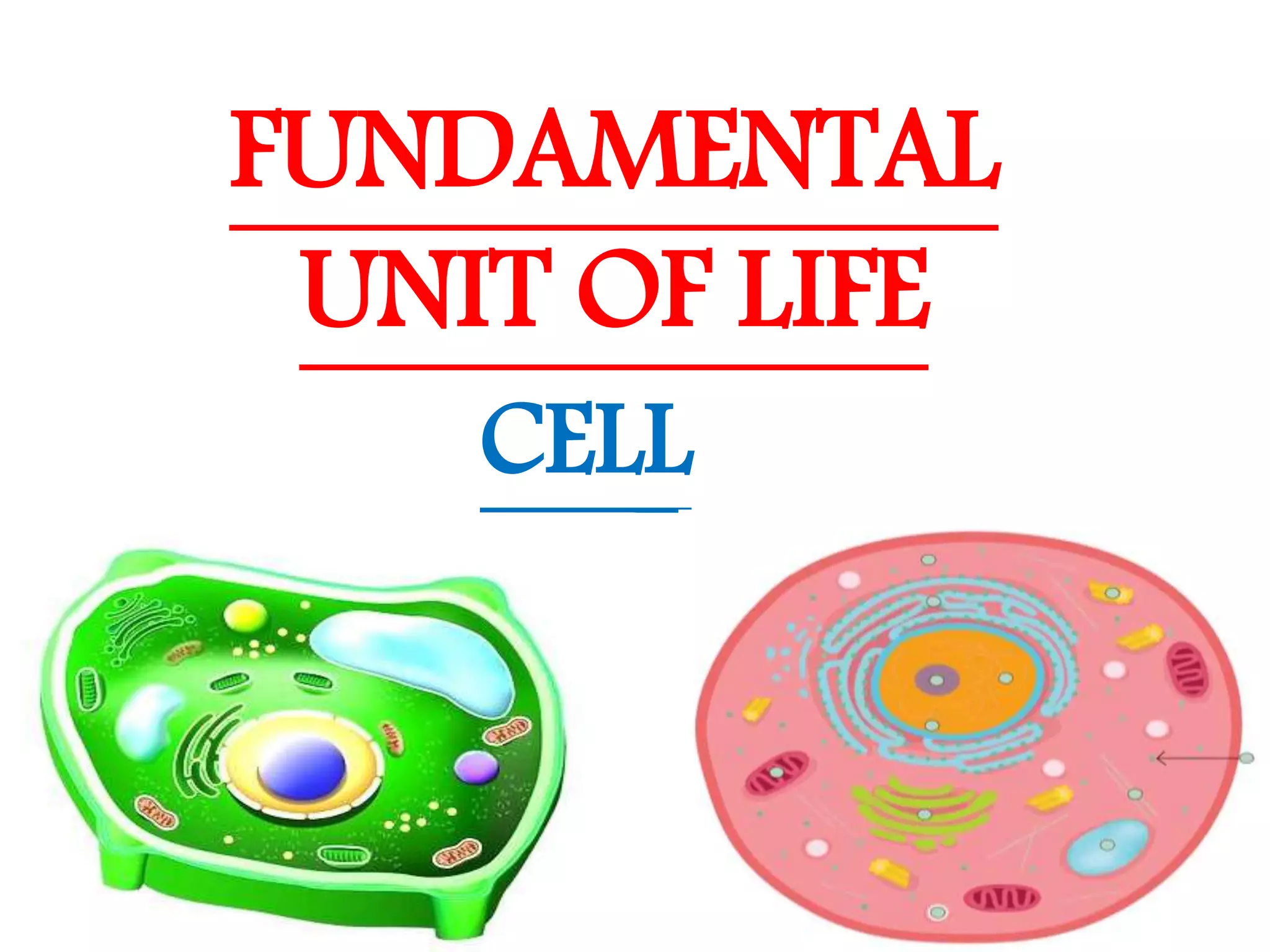 The Fundamental unit of life- Cell, Class 9 Chapter-5