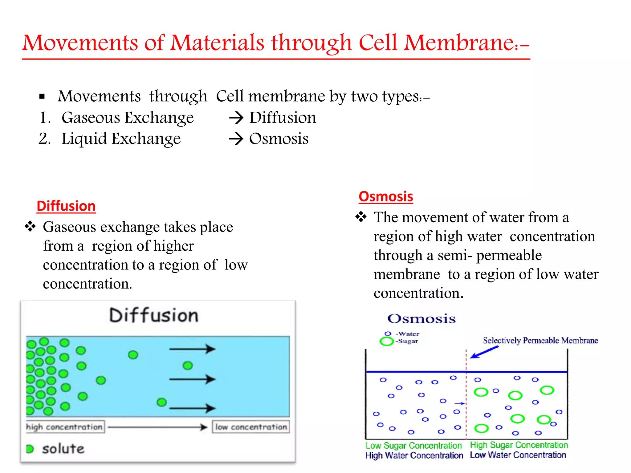 The Fundamental unit of life- Cell, Class 9 Chapter-5