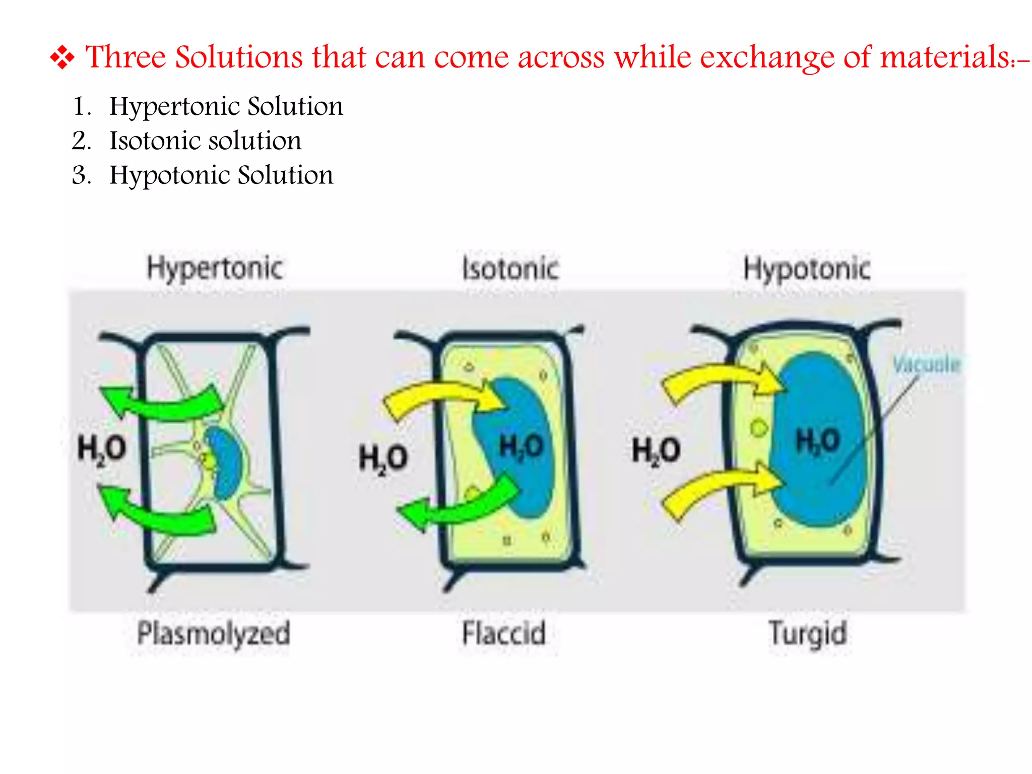 The Fundamental unit of life- Cell, Class 9 Chapter-5