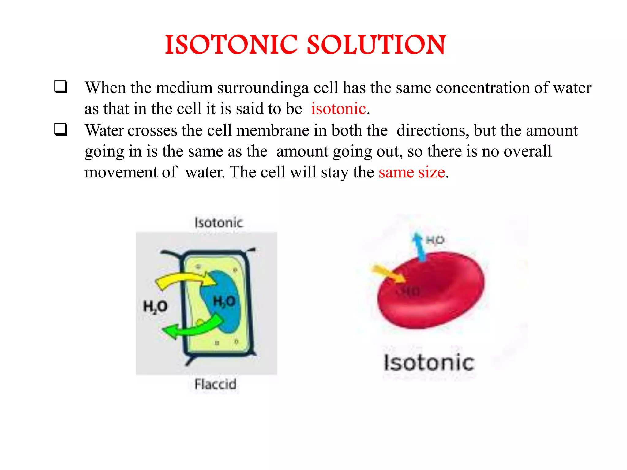 The Fundamental unit of life- Cell, Class 9 Chapter-5