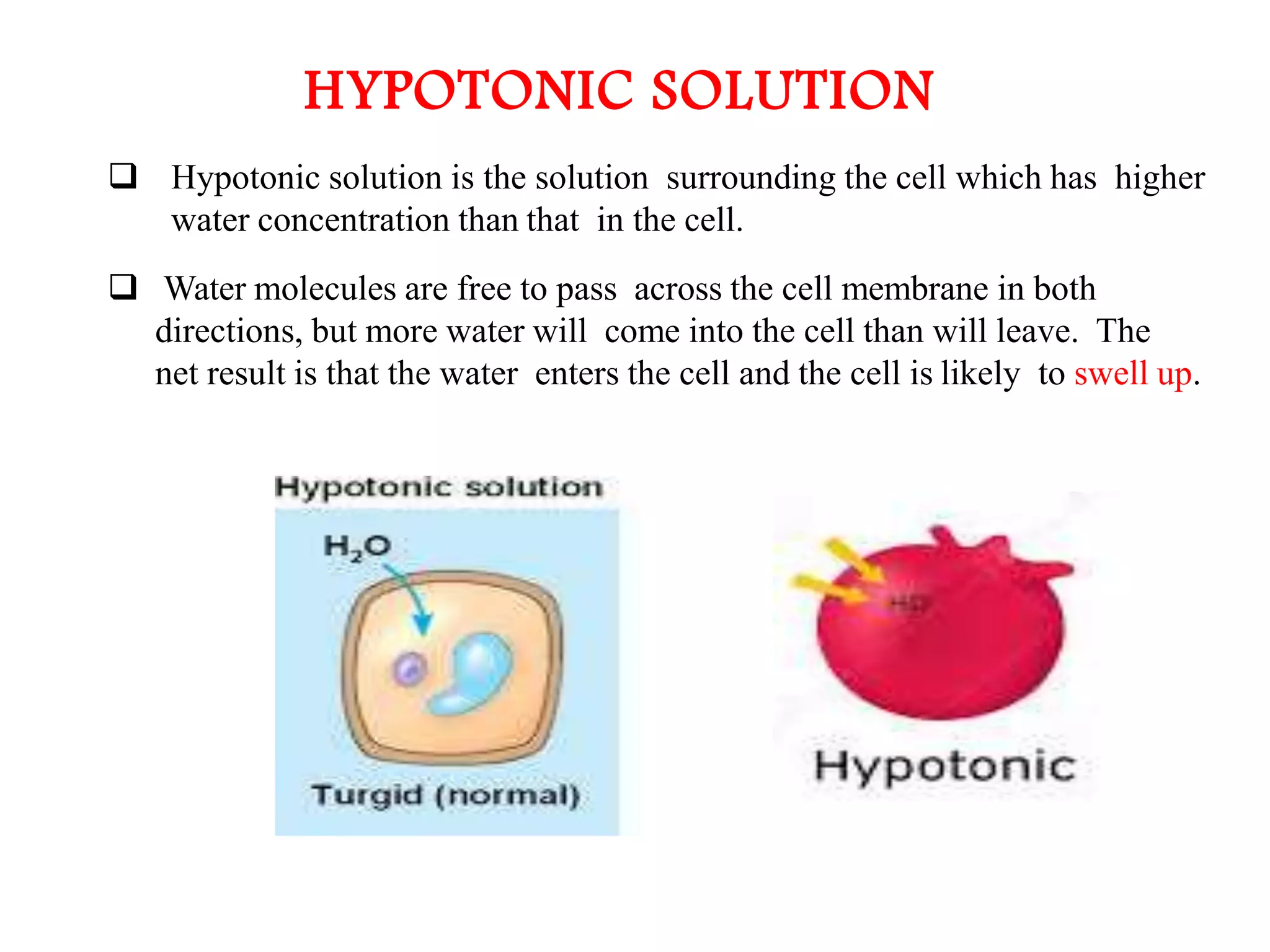 The Fundamental unit of life- Cell, Class 9 Chapter-5