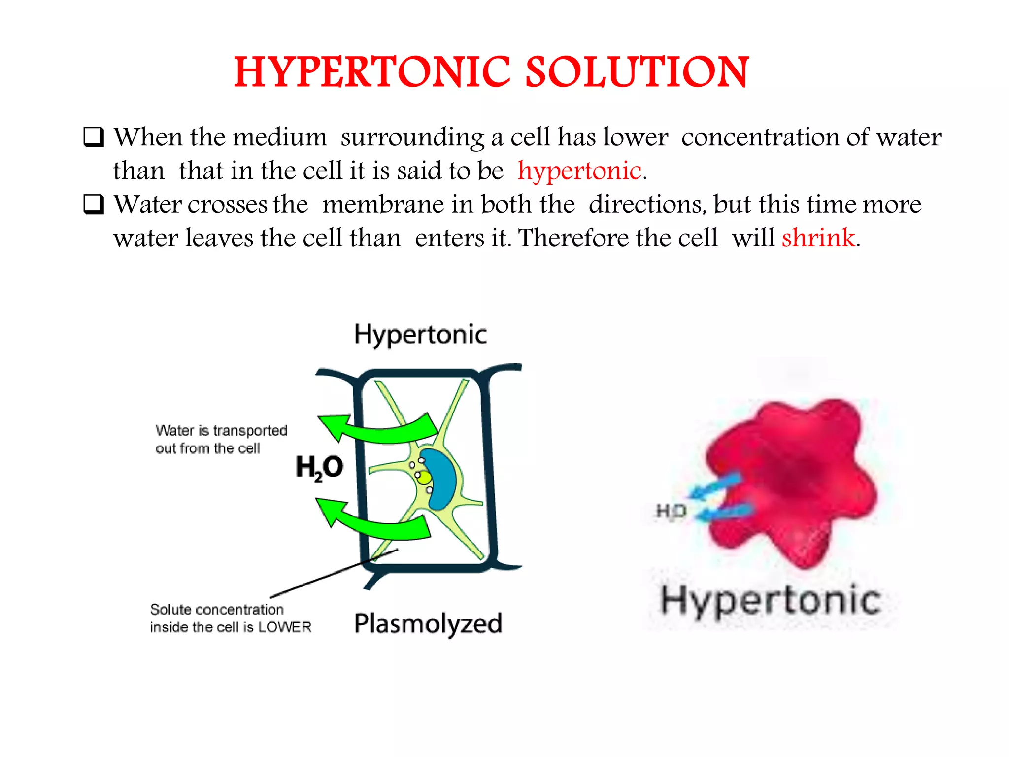 The Fundamental unit of life- Cell, Class 9 Chapter-5