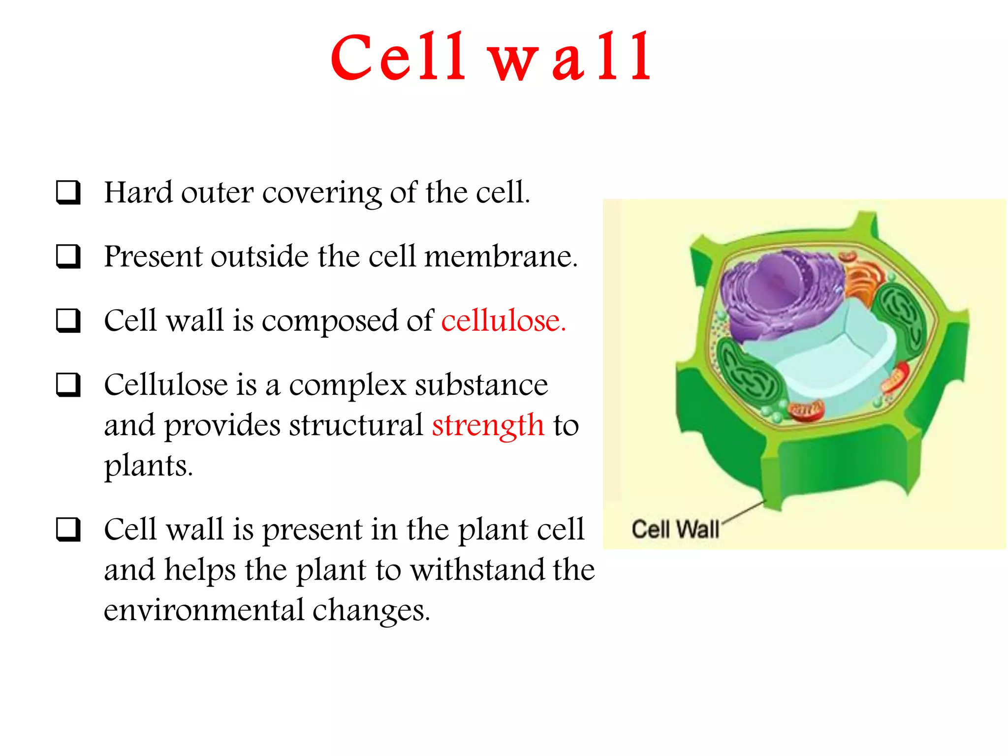 The Fundamental unit of life- Cell, Class 9 Chapter-5