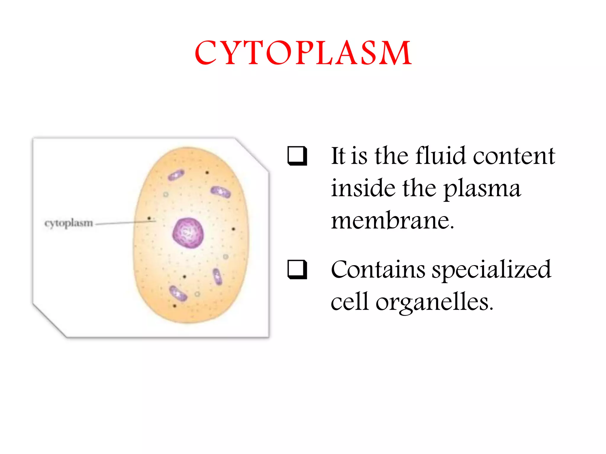 The Fundamental unit of life- Cell, Class 9 Chapter-5