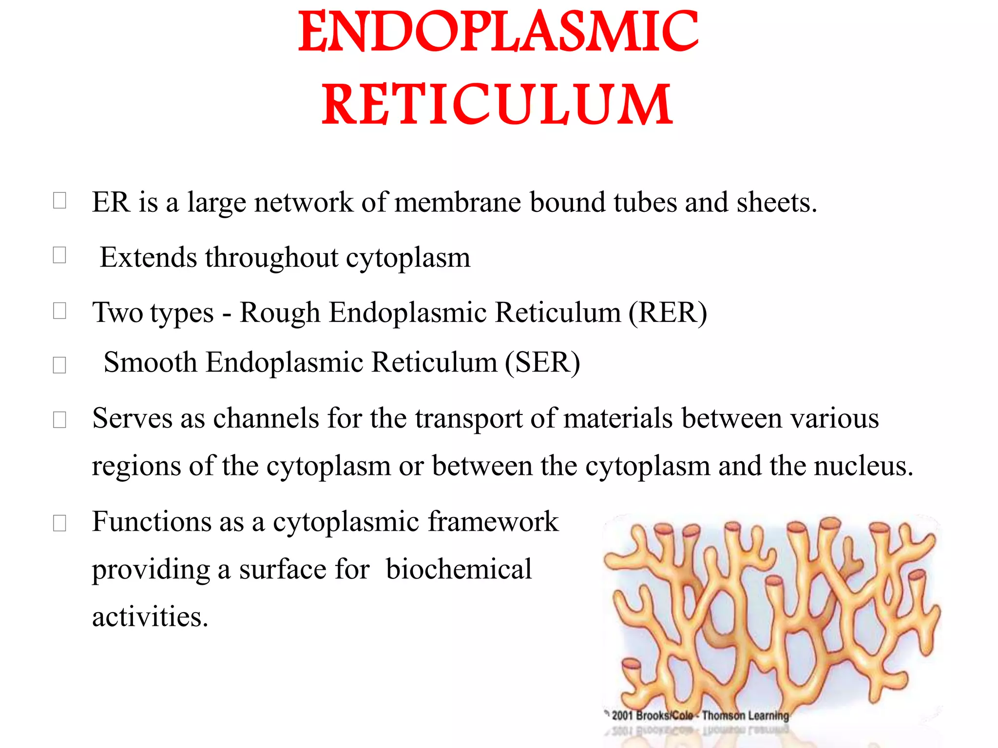 The Fundamental unit of life- Cell, Class 9 Chapter-5