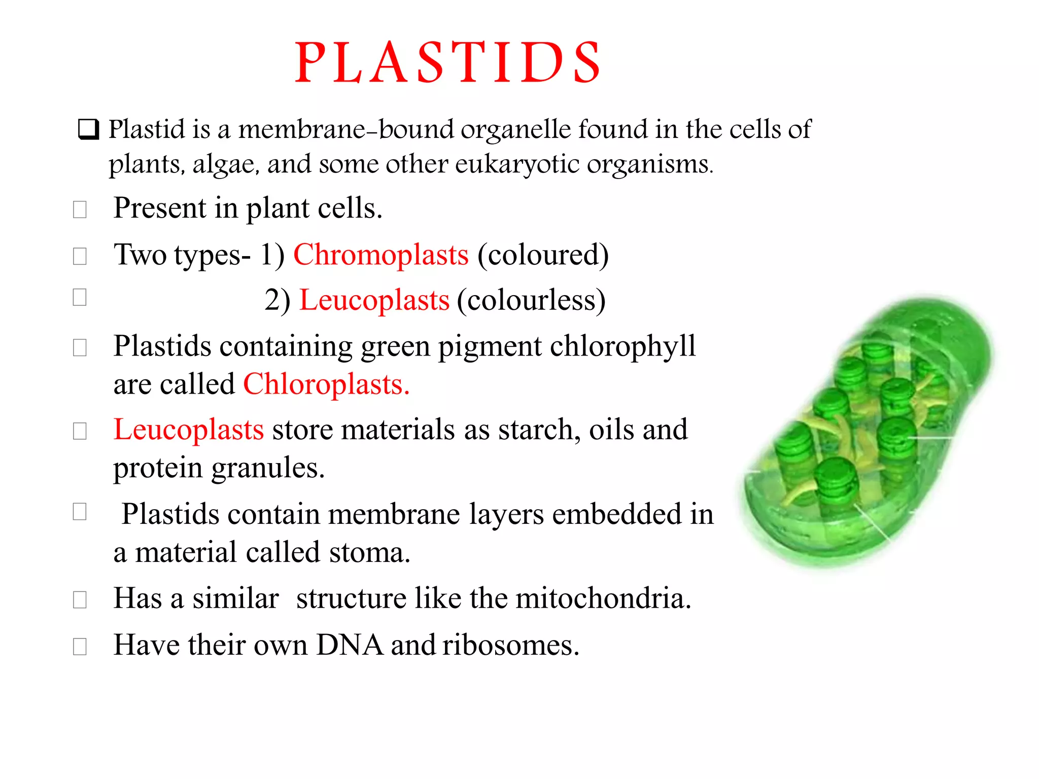 The Fundamental unit of life- Cell, Class 9 Chapter-5