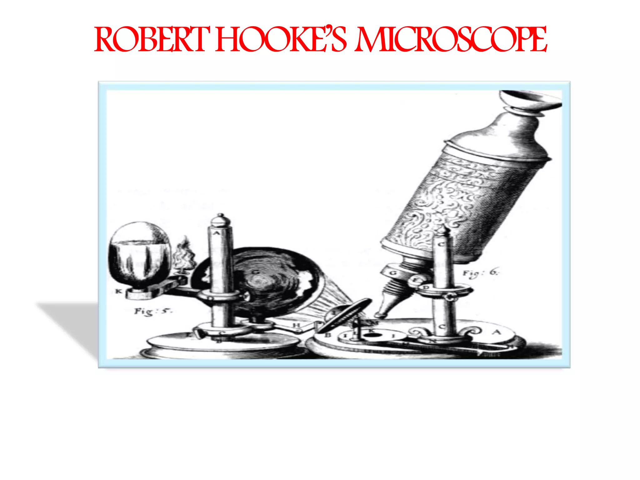 The Fundamental unit of life- Cell, Class 9 Chapter-5