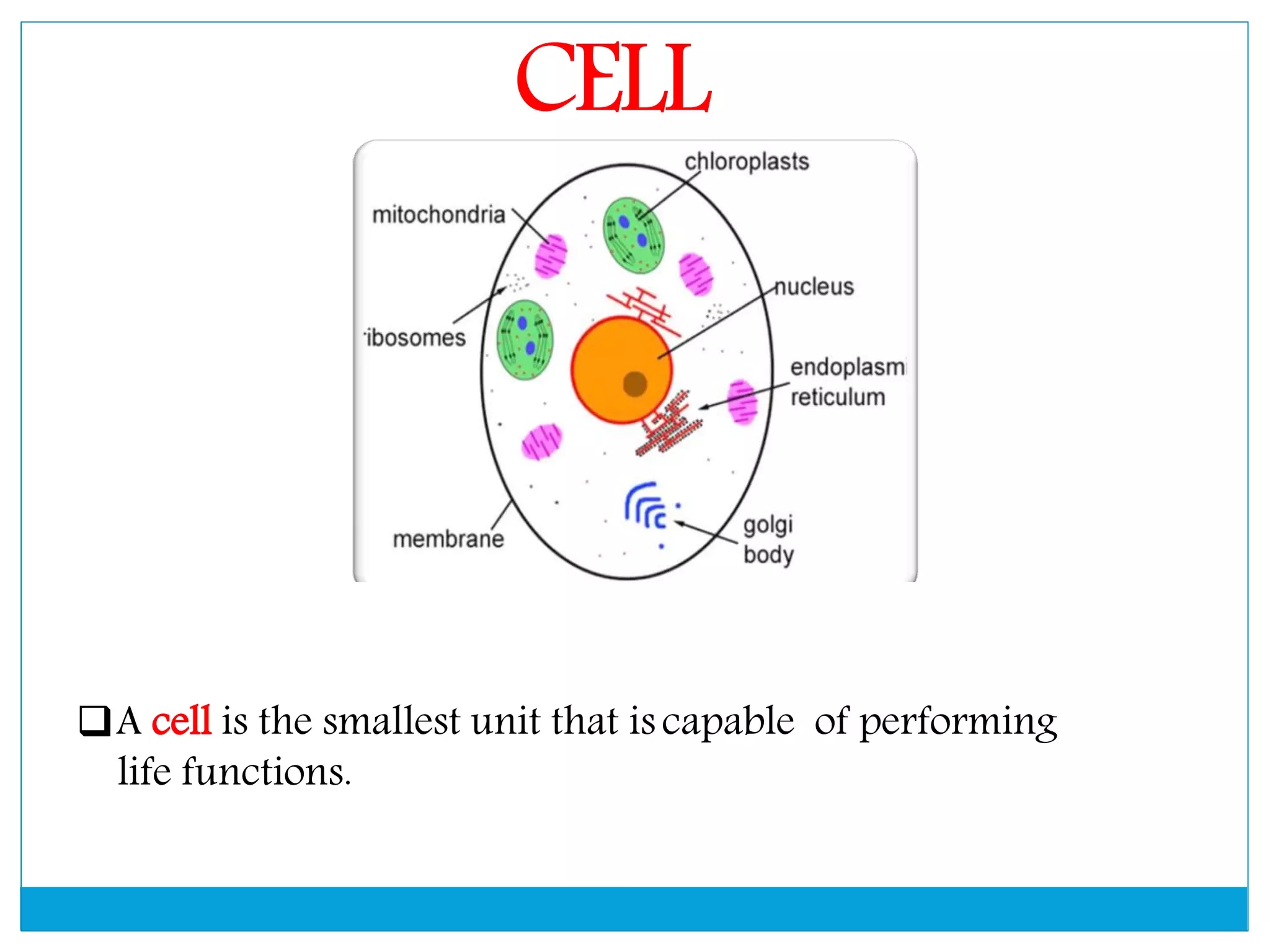 The Fundamental unit of life- Cell, Class 9 Chapter-5
