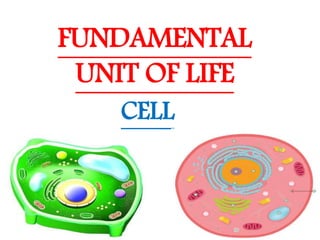 FUNDAMENTAL
UNIT OF LIFE
CELL
 