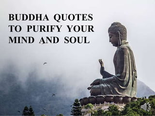 BUDDHA QUOTES
TO PURIFY YOUR
MIND AND SOUL
 