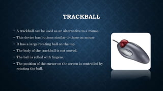 Presentation on Mouse | PPTX