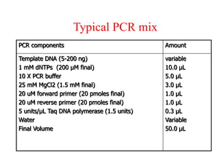 Typical PCR mix
PCR components Amount
Template DNA (5-200 ng)
1 mM dNTPs (200 µM final)
10 X PCR buffer
25 mM MgCl2 (1.5 mM final)
20 uM forward primer (20 pmoles final)
20 uM reverse primer (20 pmoles final)
5 units/µL Taq DNA polymerase (1.5 units)
Water
Final Volume
variable
10.0 µL
5.0 µL
3.0 µL
1.0 µL
1.0 µL
0.3 µL
Variable
50.0 µL
 