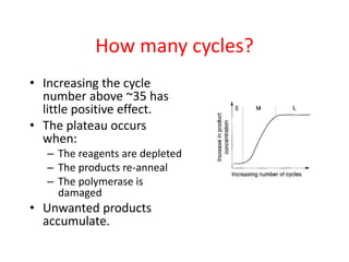 How many cycles?
• Increasing the cycle
number above ~35 has
little positive effect.
• The plateau occurs
when:
– The reagents are depleted
– The products re-anneal
– The polymerase is
damaged
• Unwanted products
accumulate.
 