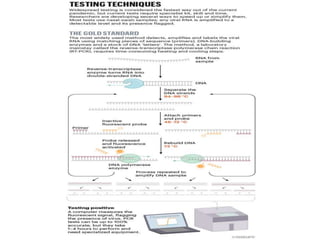 Polymerase Chain Reaction