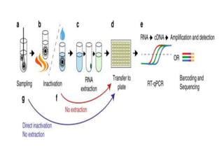 Polymerase Chain Reaction