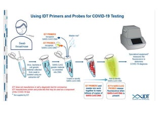 Polymerase Chain Reaction