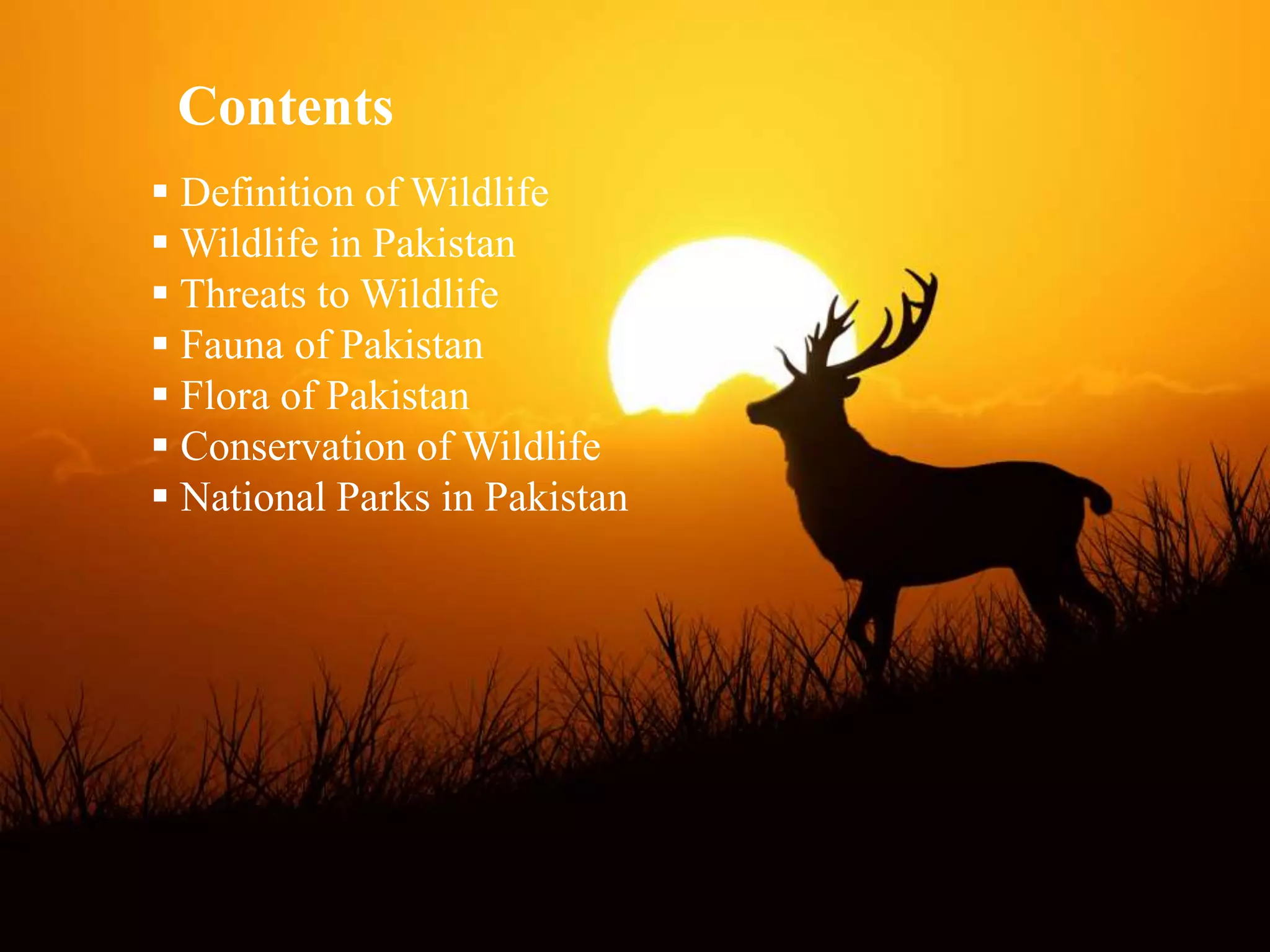 Animals In Pakistan Conservation of Wildlife in Pakistan | PPTX