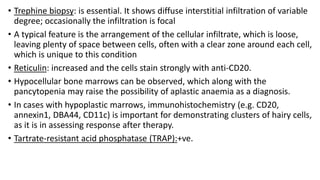 • Trephine biopsy: is essential. It shows diffuse interstitial infiltration of variable
degree; occasionally the infiltration is focal
• A typical feature is the arrangement of the cellular infiltrate, which is loose,
leaving plenty of space between cells, often with a clear zone around each cell,
which is unique to this condition
• Reticulin: increased and the cells stain strongly with anti-CD20.
• Hypocellular bone marrows can be observed, which along with the
pancytopenia may raise the possibility of aplastic anaemia as a diagnosis.
• In cases with hypoplastic marrows, immunohistochemistry (e.g. CD20,
annexin1, DBA44, CD11c) is important for demonstrating clusters of hairy cells,
as it is in assessing response after therapy.
• Tartrate-resistant acid phosphatase (TRAP):+ve.
 