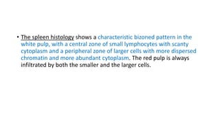 • The spleen histology shows a characteristic bizoned pattern in the
white pulp, with a central zone of small lymphocytes with scanty
cytoplasm and a peripheral zone of larger cells with more dispersed
chromatin and more abundant cytoplasm. The red pulp is always
infiltrated by both the smaller and the larger cells.
 