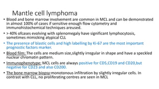 Mantle cell lymphoma
• Blood and bone marrow involvement are common in MCL and can be demonstrated
in almost 100% of cases if sensitive enough flow cytometry and
immunohistochemical techniques areused.
• > 40% ofcases evolving with splenomegaly have significant lymphocytosis,
sometimes mimicking atypical CLL
• The presence of blastic cells and high labelling by Ki-67 are the most important
prognostic factors marker.
• Blood film: The cells are medium size,slightly irregular in shape and have a speckled
nuclear chromatin pattern.
• Immunophenotype: MCL cells are always positive for CD5,CD19 and CD20,but
negative for CD23 and also CD200.
• The bone marrow biopsy:monotonous infiltration by slightly irregular cells. In
contrast with CLL, no proliferating centres are seen in MCL
 