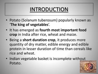 Potato Cultivation and Poduction | PPTX