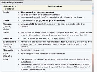 Examination of Skin | PPTX