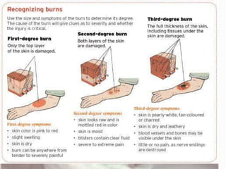 Skin Rash Exam Examination of Skin | PPTX