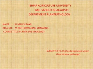 BIHAR AGRICULTURE UNIVERSITY
BAC ,SABOUR BHAGALPUR
DEPARTMENT PLANTPATHOLOGY
NAME : KUMAR SUMAN
ROLL NO: M-PATH-00746-BAC- 2020/2021
COURSE TITLE: PL PATH 501 MYCOLOGY
SUBMITTED TO: Dr.Chanda kushwaha Ma’am
(Dept of plant pathology)
 
