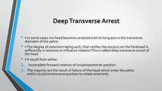 DeepTransverse Arrest
• • In some cases me head becomes arrested with its long axis in the transverse
diameter of the pelvis.
• •The degree of extension being such, that neither the occiput nor the forehead is
sufficiently in advance to influence rotationThis is called deep transverse arrest of
the head
• • It result from either:
1. Incomplete forward rotation of occipitoposterior position.
2. The majority are the result of failure of the head which enter the pelvis
within occipitotransverse position to rotate anteriorly
 
