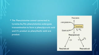 • The Phenylalanine cannot converted to
tyrosine.So,This phenylalanine undergoes
transamination to form a phenylpyruvic acid
and it’s product as phenyllactic acid are
product.
 