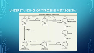 UNDERSTANDING OF TYROSINE METABOLISM:
 