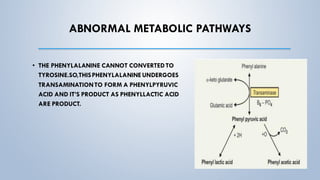 ABNORMAL METABOLIC PATHWAYS
• THE PHENYLALANINE CANNOT CONVERTEDTO
TYROSINE.SO,THISPHENYLALANINEUNDERGOES
TRANSAMINATIONTO FORM A PHENYLPYRUVIC
ACID AND IT’S PRODUCT AS PHENYLLACTIC ACID
ARE PRODUCT.
 